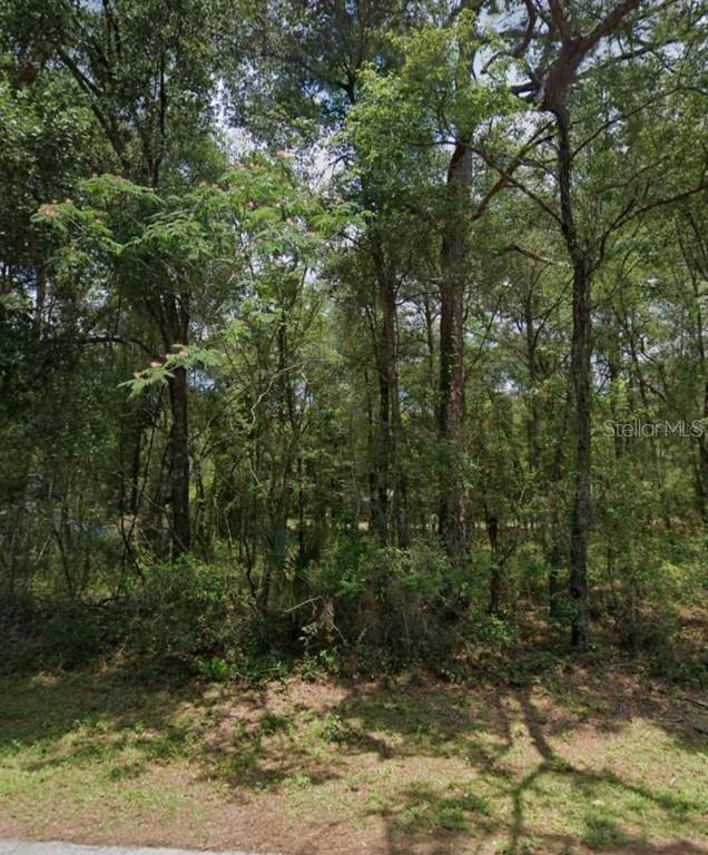 29 N Rooks Ave., Inverness, FL 34453