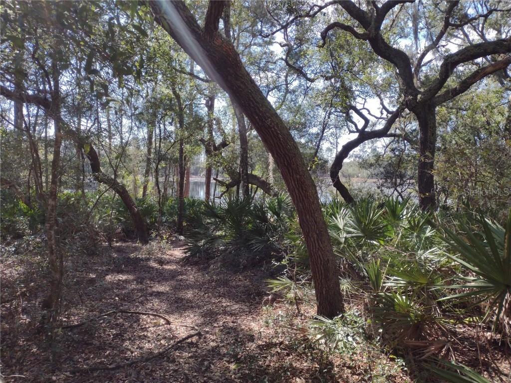 89 Tucker Lake Rd., Melrose, FL 32666
