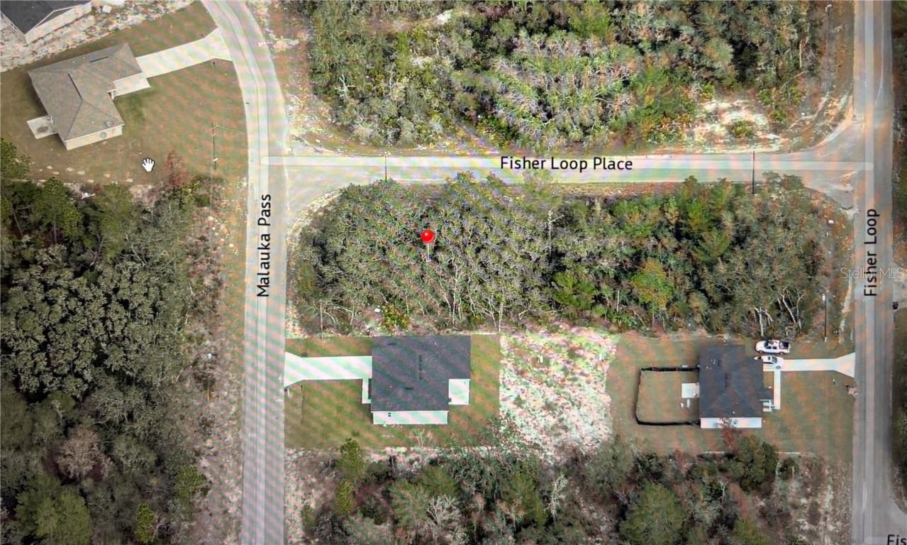 TBD Fisher Loop Place, Ocklawaha, FL 32179