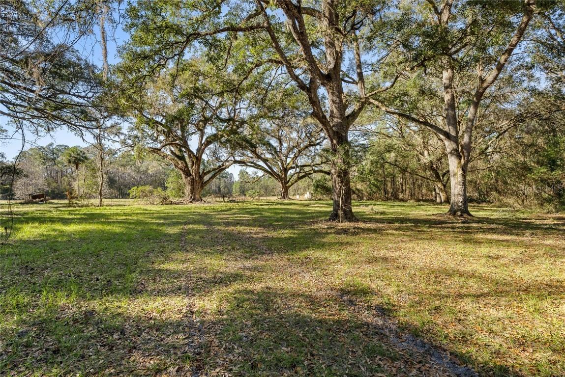 13717 NE 48th Pl., Gainesville, FL 32641