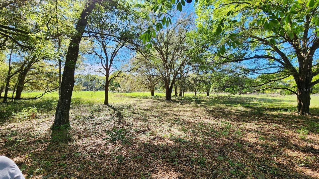 4052 - A SE October Rd., Lake City, FL 32025