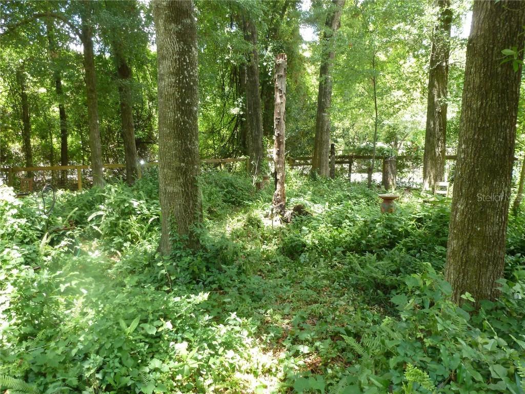 1031 SW 62nd Ter., Gainesville, FL 32607