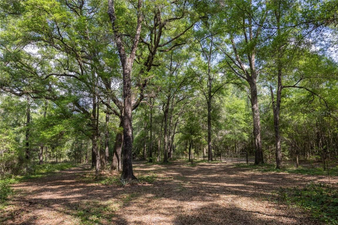 11630 NW 161st St., Alachua, FL 32615