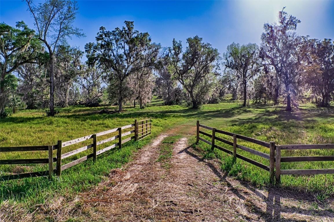 8604 NW 215th St., Micanopy, FL 32667