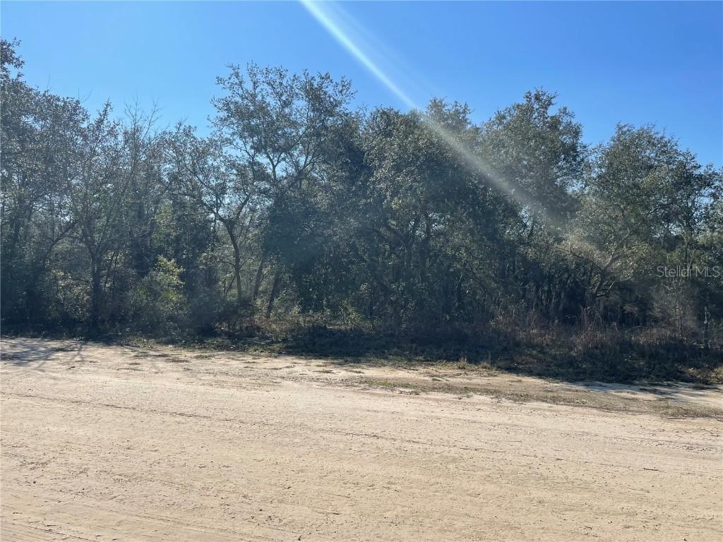 000 NE 93rd Ln., Bronson, FL 32621