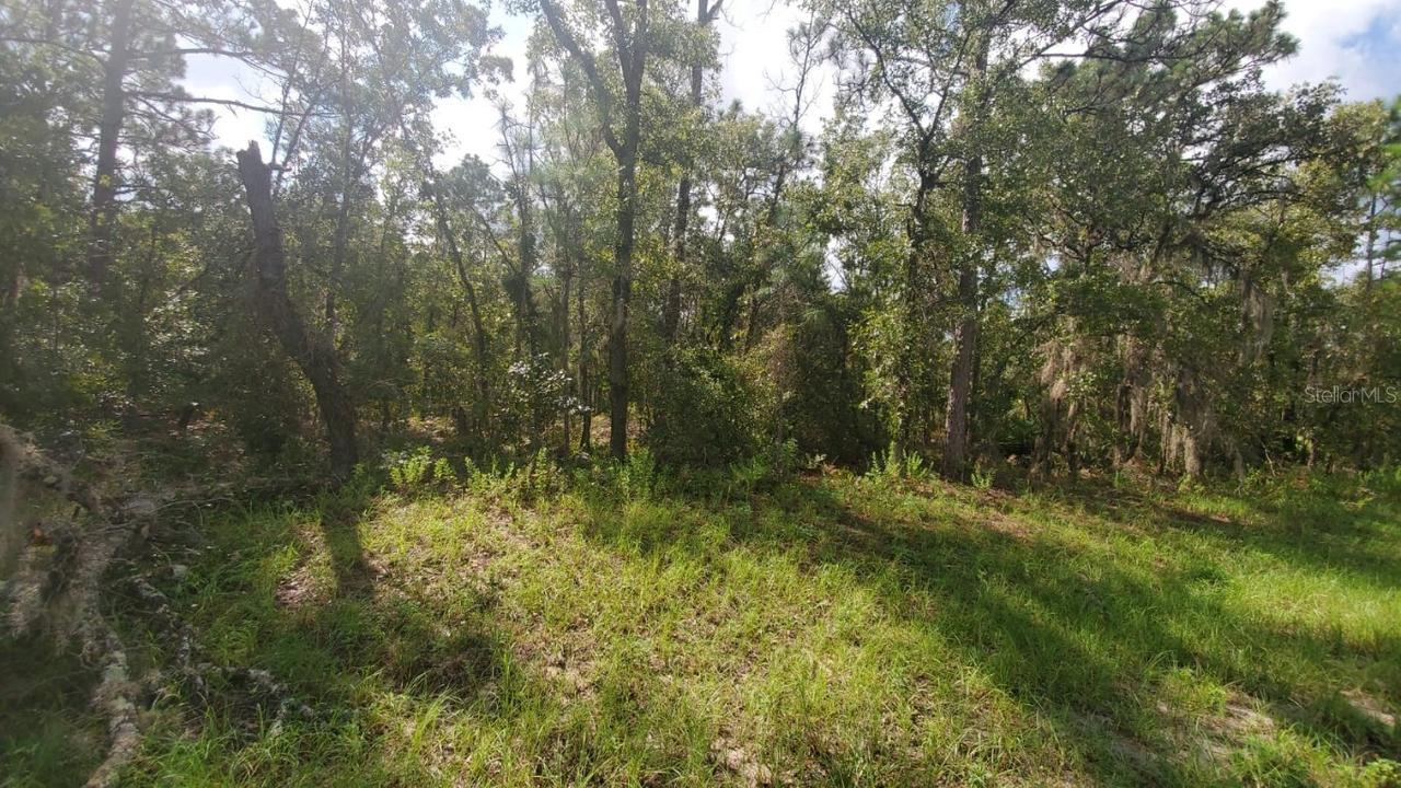 16009 SW 57th Terrace Rd., Ocala, FL 34473