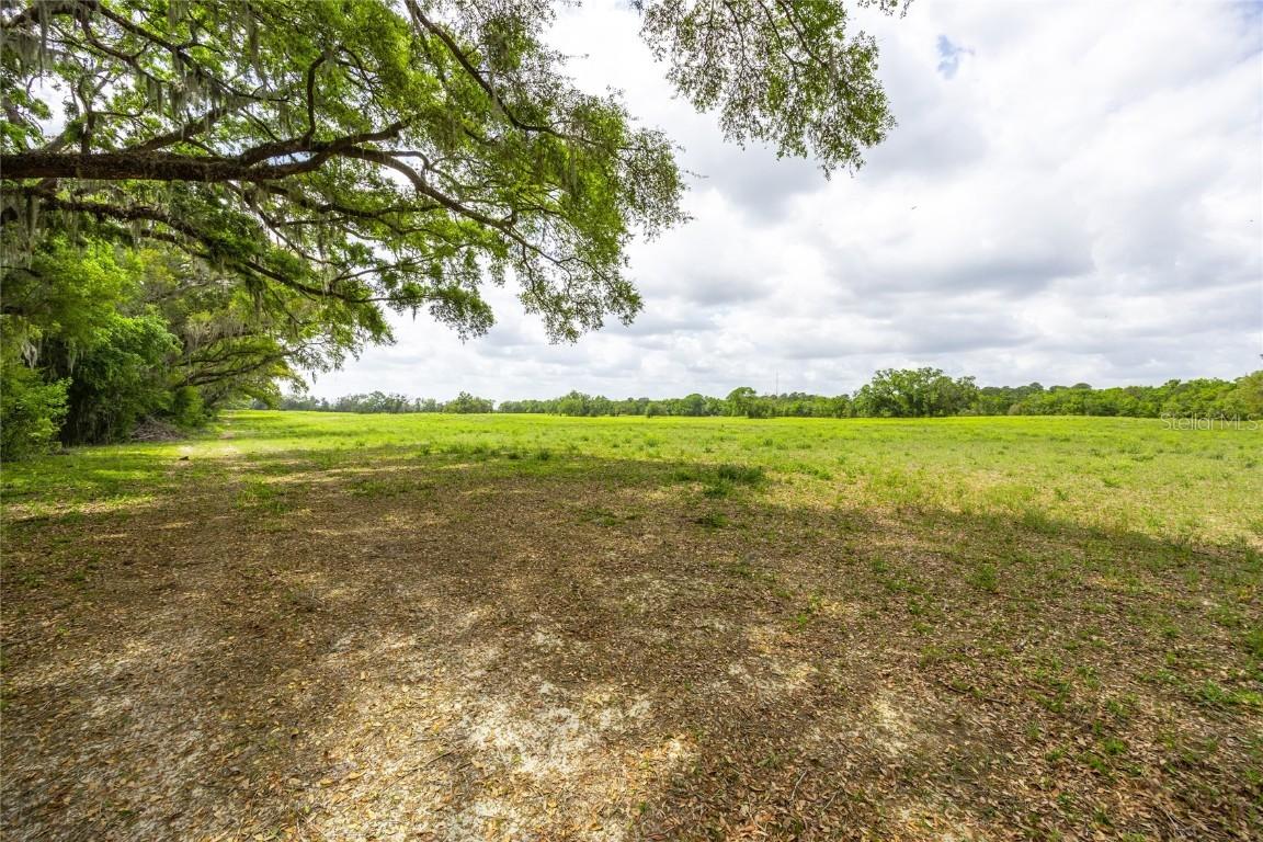 TBD SW 220th Dr. #1, Newberry, FL 32669