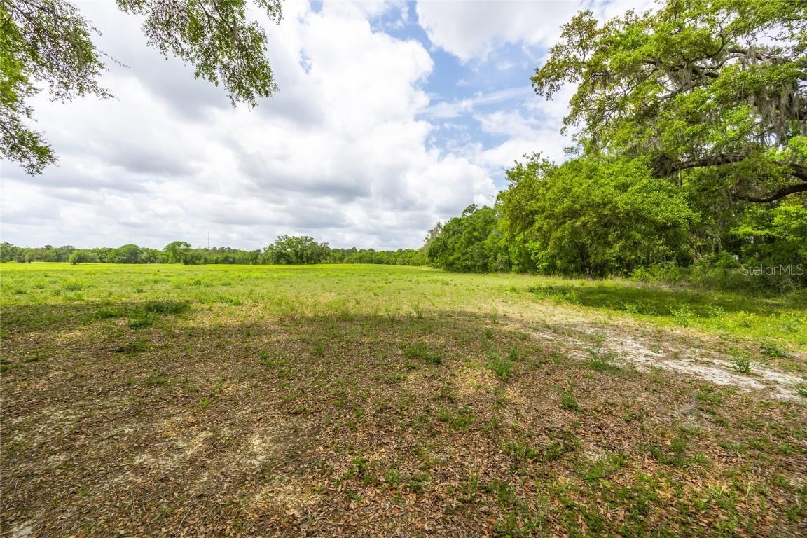 TBD SW 220th Dr. #14, Newberry, FL 32669