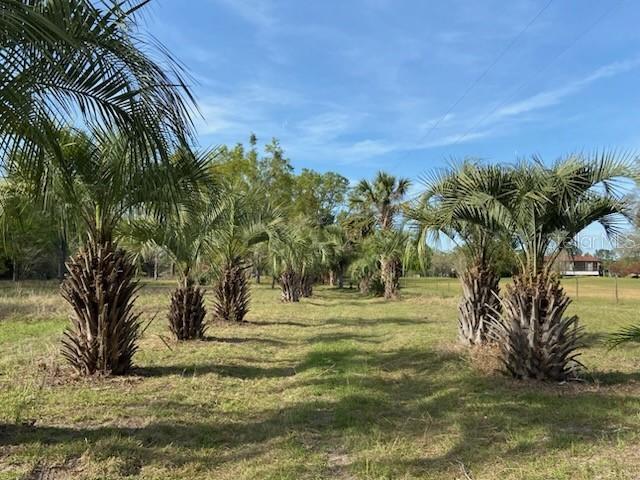 23206 NW 102nd Ave., Alachua, FL 32615