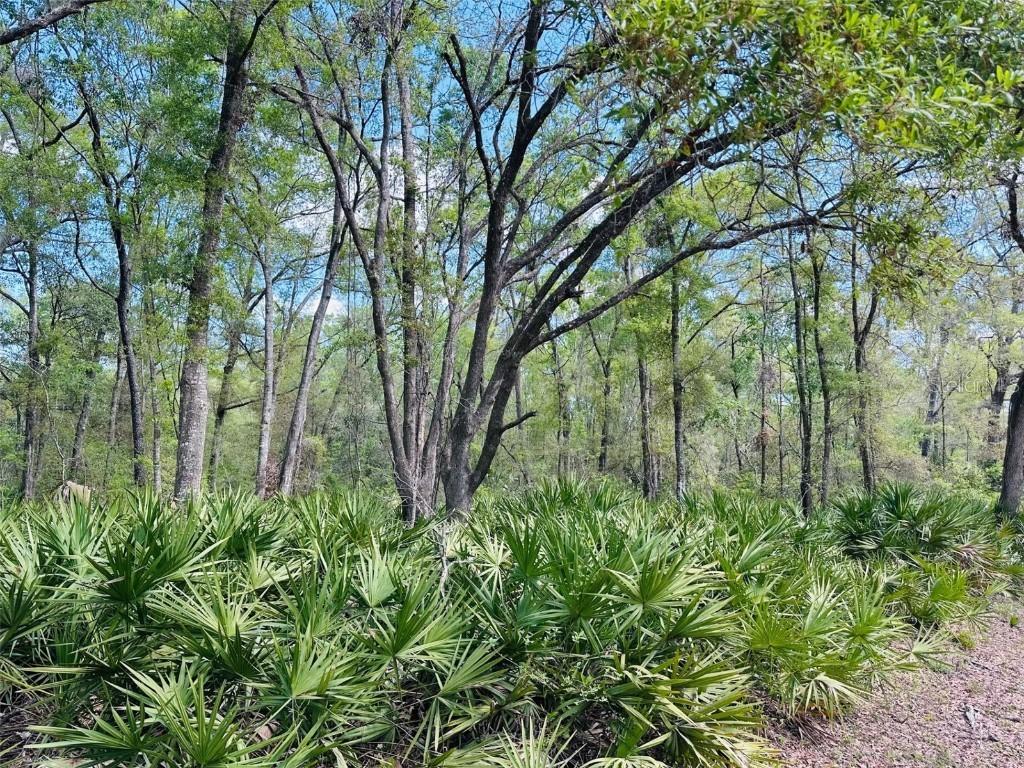 NW 30th St., Chiefland, FL 32626