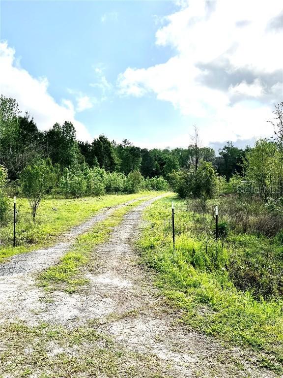 5572 SW 111th Ln., Lake Butler, FL 32054