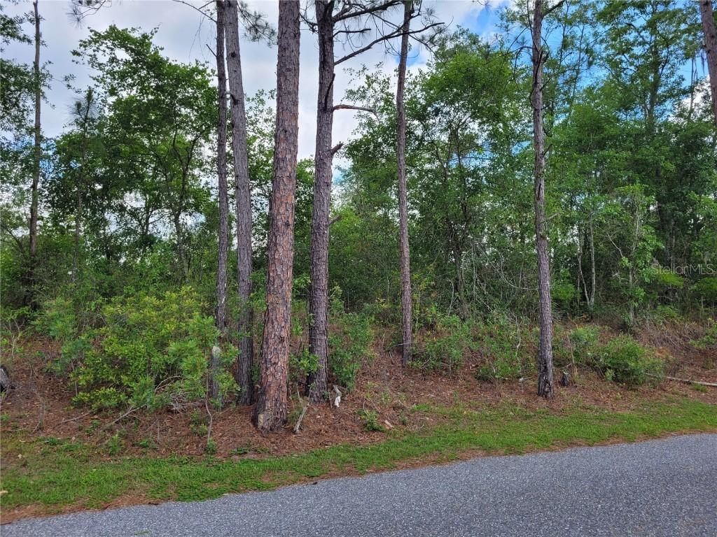 TBD County Road 18, Fort White, FL 32038