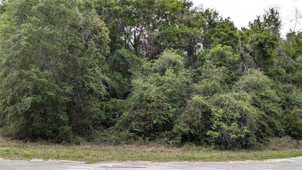 00 SE 23rd Ln., Trenton, FL 32693