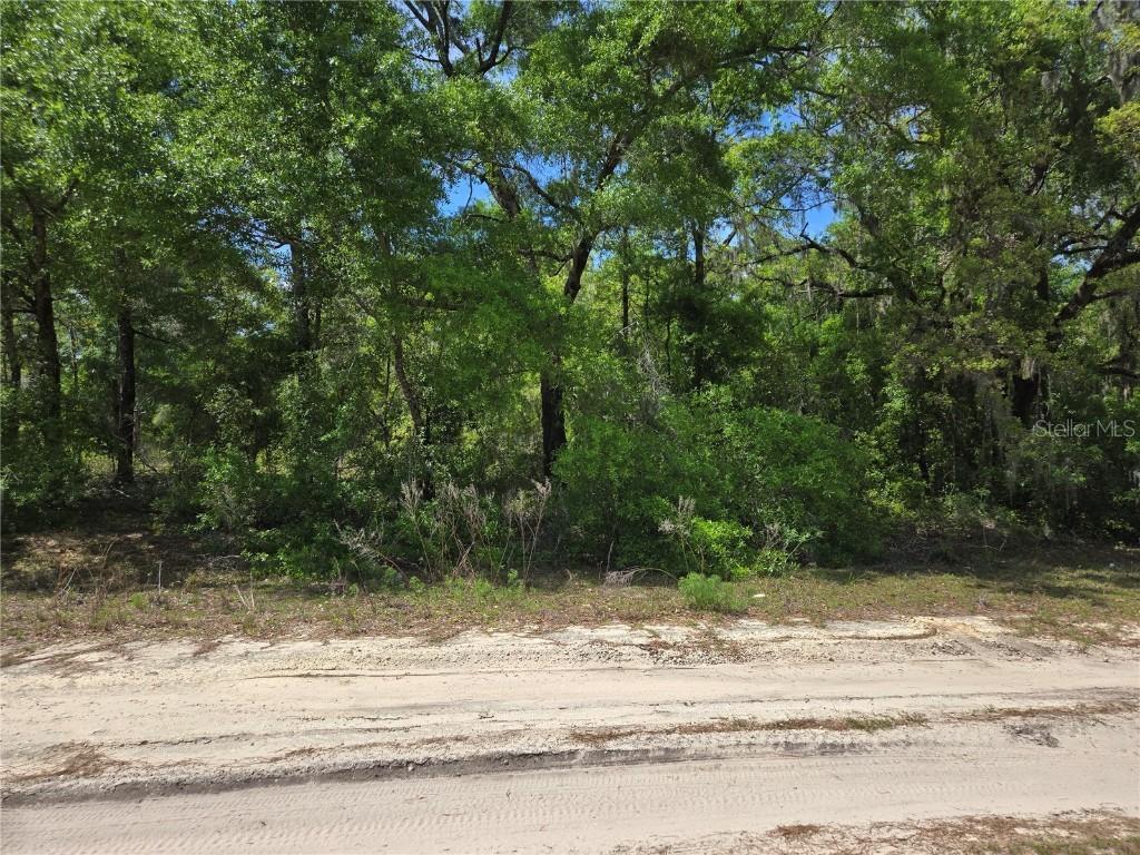 NE 155th Ct., Williston, FL 32696