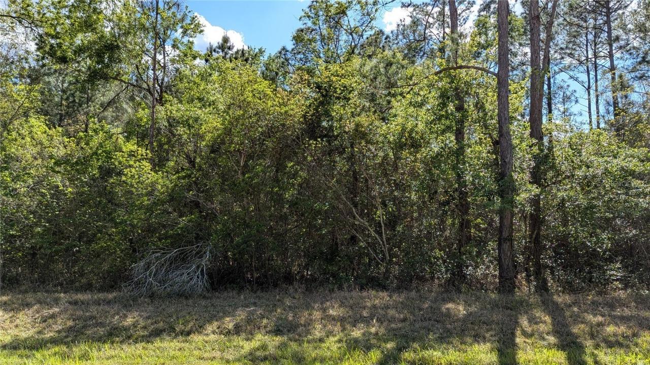 00 NE 108th Pl., Waldo, FL 32694