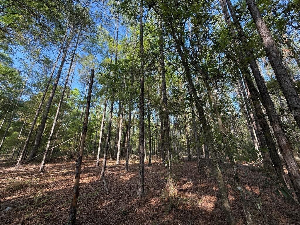 000 SW Old Lake City Ter., High Springs, FL 32643