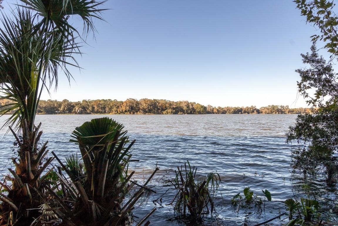 2750 SW 14th Dr., Gainesville, FL 32608