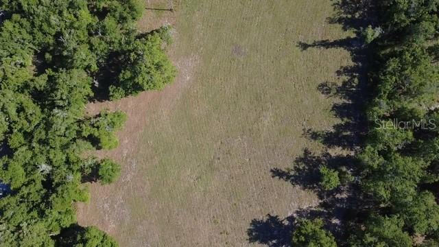 3817 NE 159th Pl., Gainesville, FL 32609