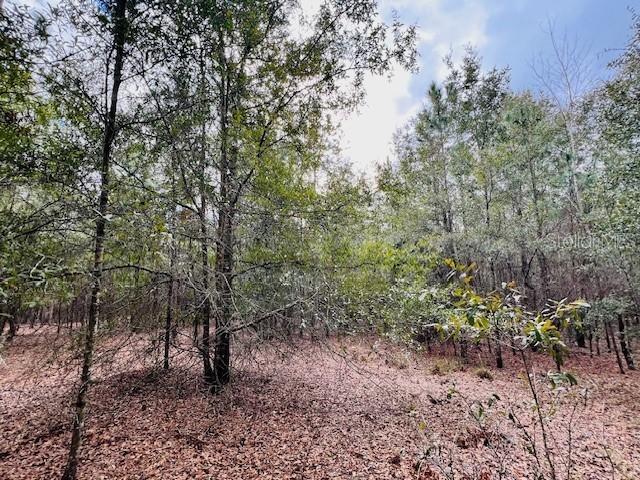 NW 85th St., Bell, FL 32619