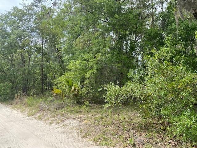 NE 67th St., Bronson, FL 32621