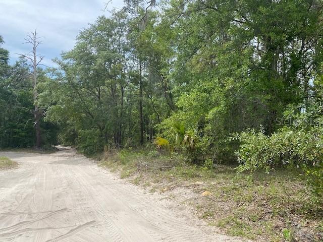 [Address Hidden by Seller], Bronson, FL 32621