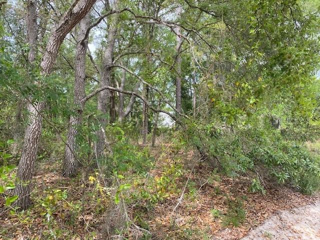 NE 67th St., Bronson, FL 32621