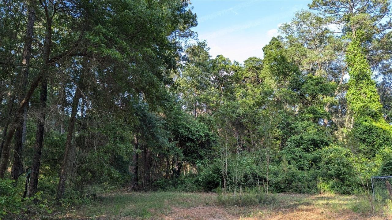 303 SE 130th Ter., Gainesville, FL 32641