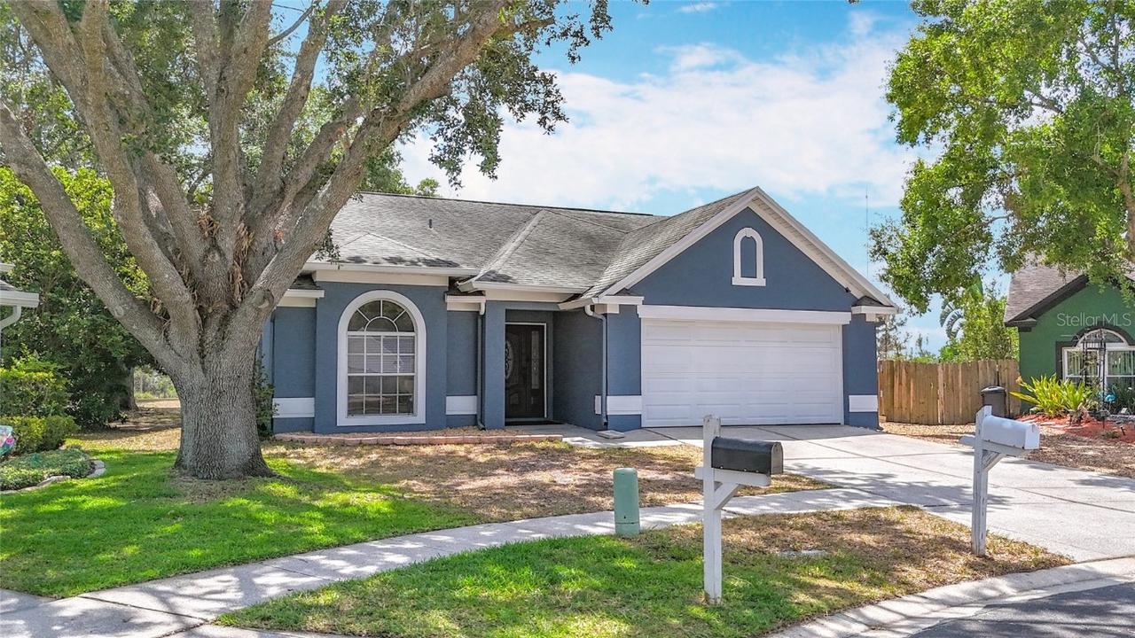 4722 Lighterwood Way, Valrico, FL 33596