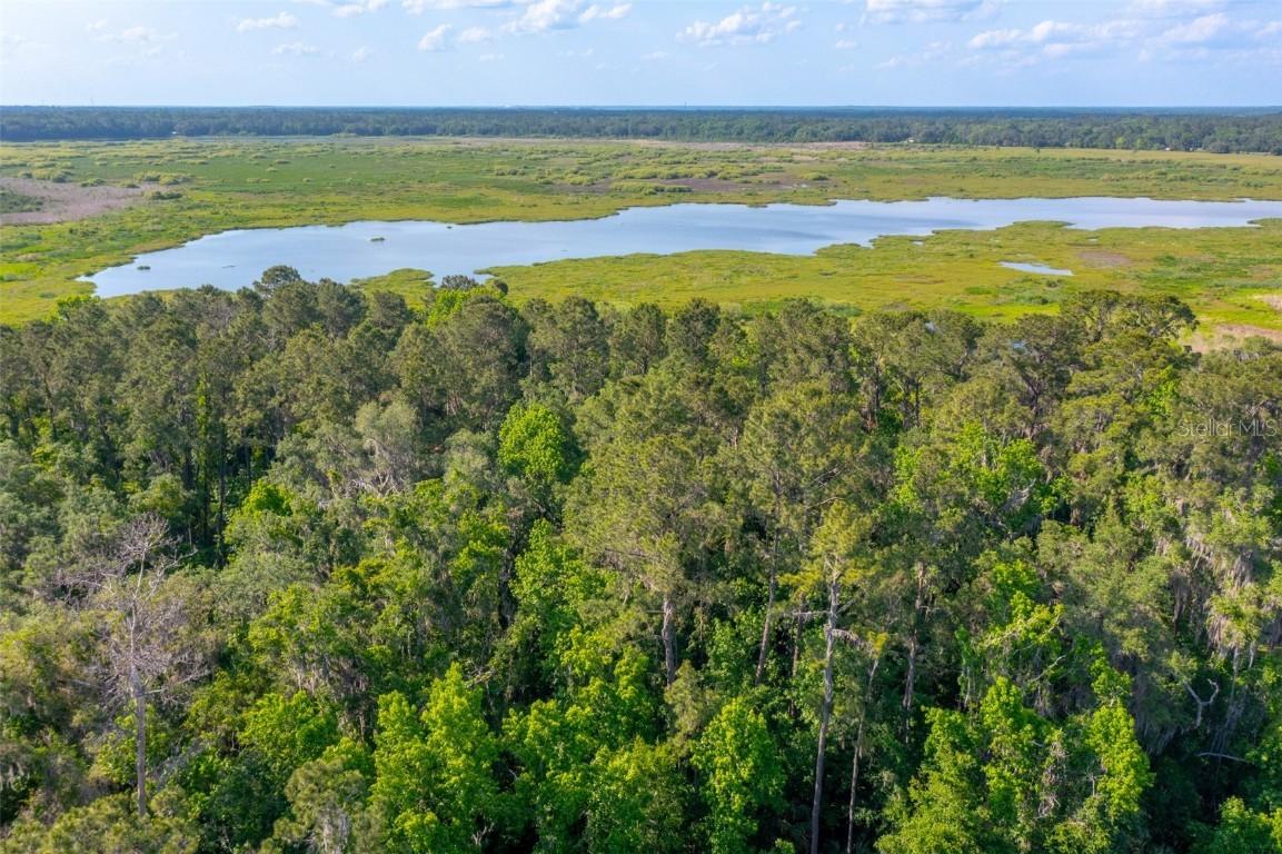 SE 185th Ave., Micanopy, FL 32667