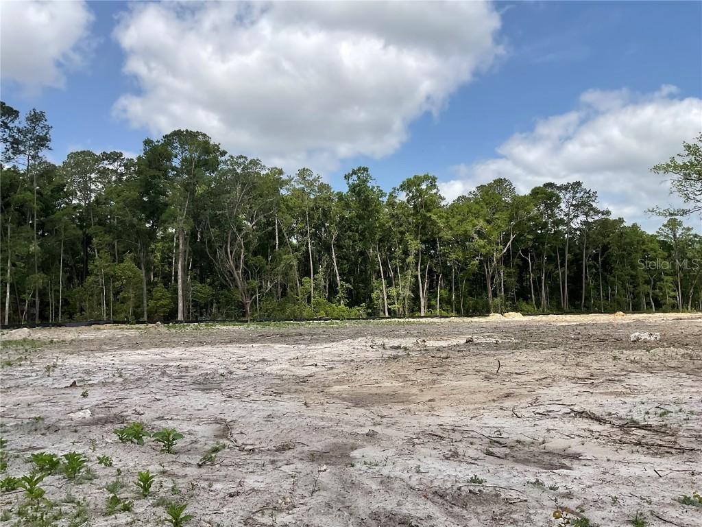 TBD SW 55th Rd, Gainesville, FL 32608