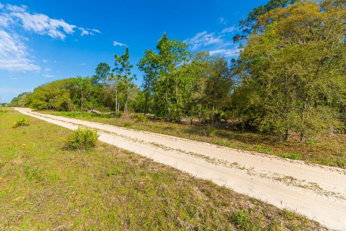NE 65 St., Williston, FL 32696
