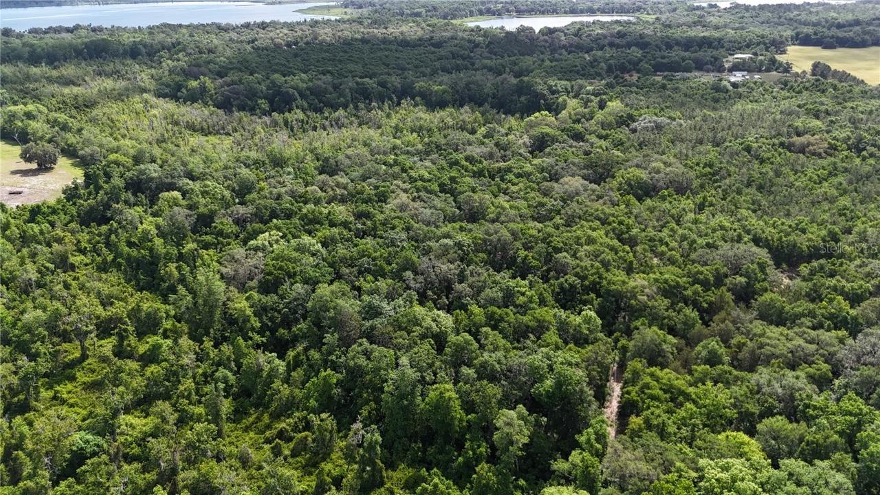 SE 225th Dr., Hawthorne, FL 32640