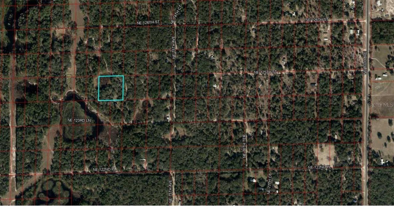 Lot 110 &111 NE 125th St, Bronson, FL 32621