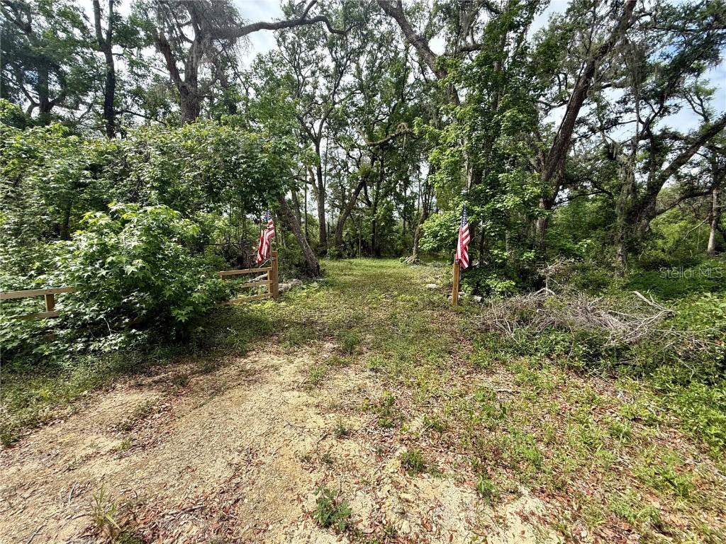 1093 NE 497th St., Old Town, FL 32680