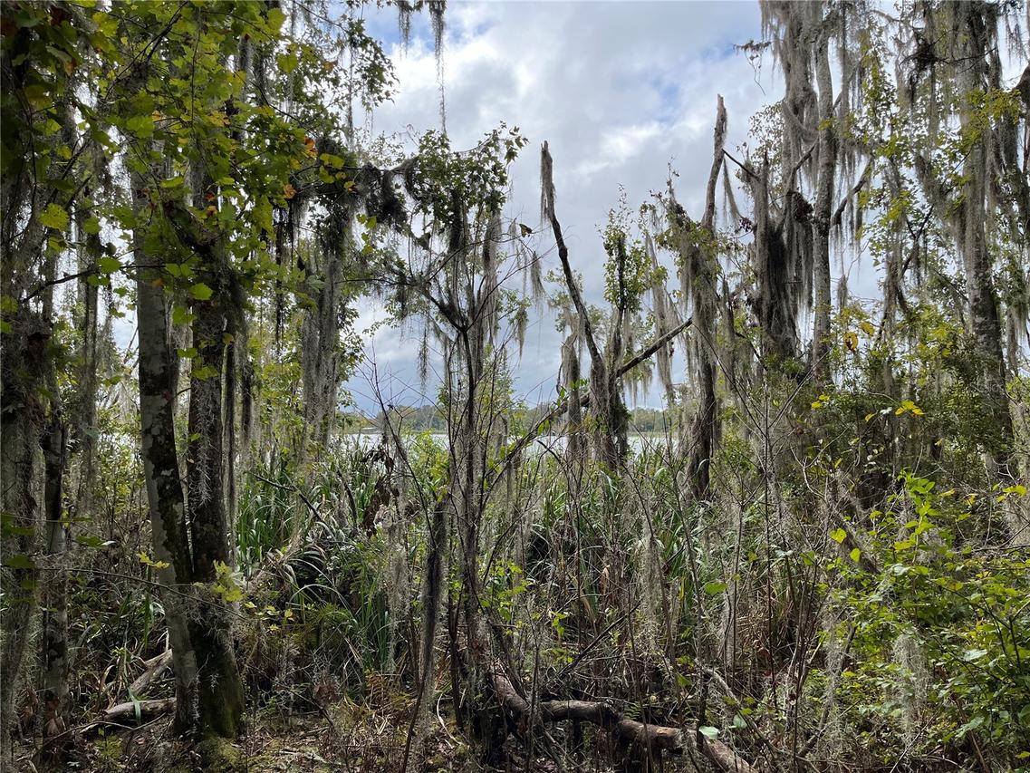 000 SE Hawthorne Rd., Hawthorne, FL 32640