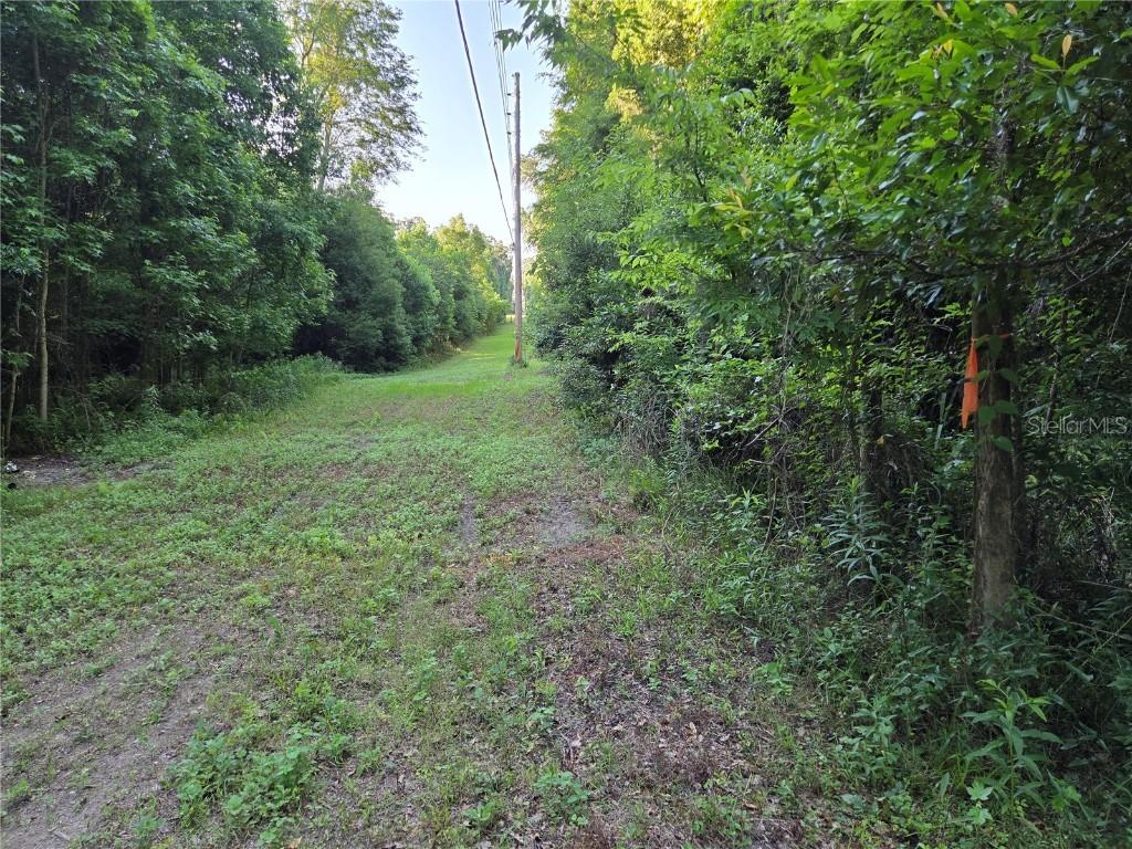 15929 NW 135th Ter., Alachua, FL 32615