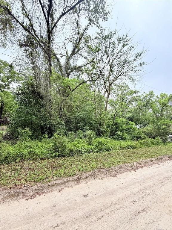 8630 SW 82nd Ter., Trenton, FL 32693