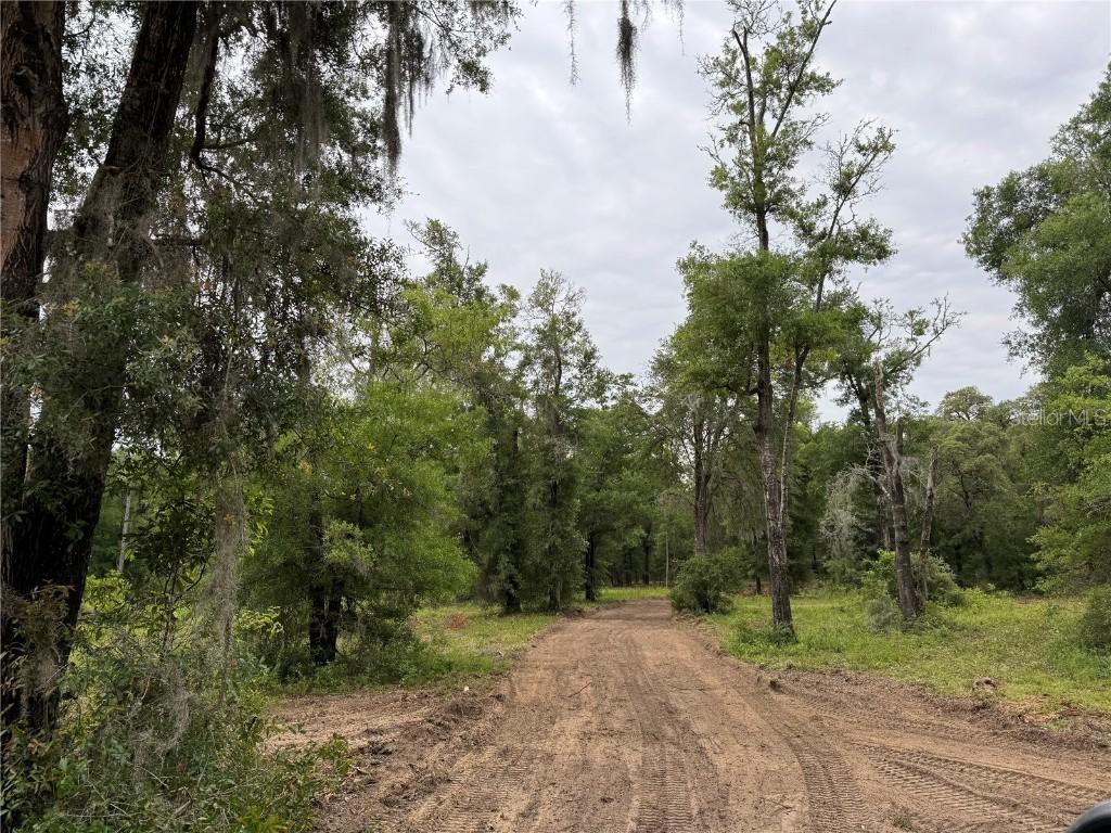 TBD NE 127th Pl., Bronson, FL 32621