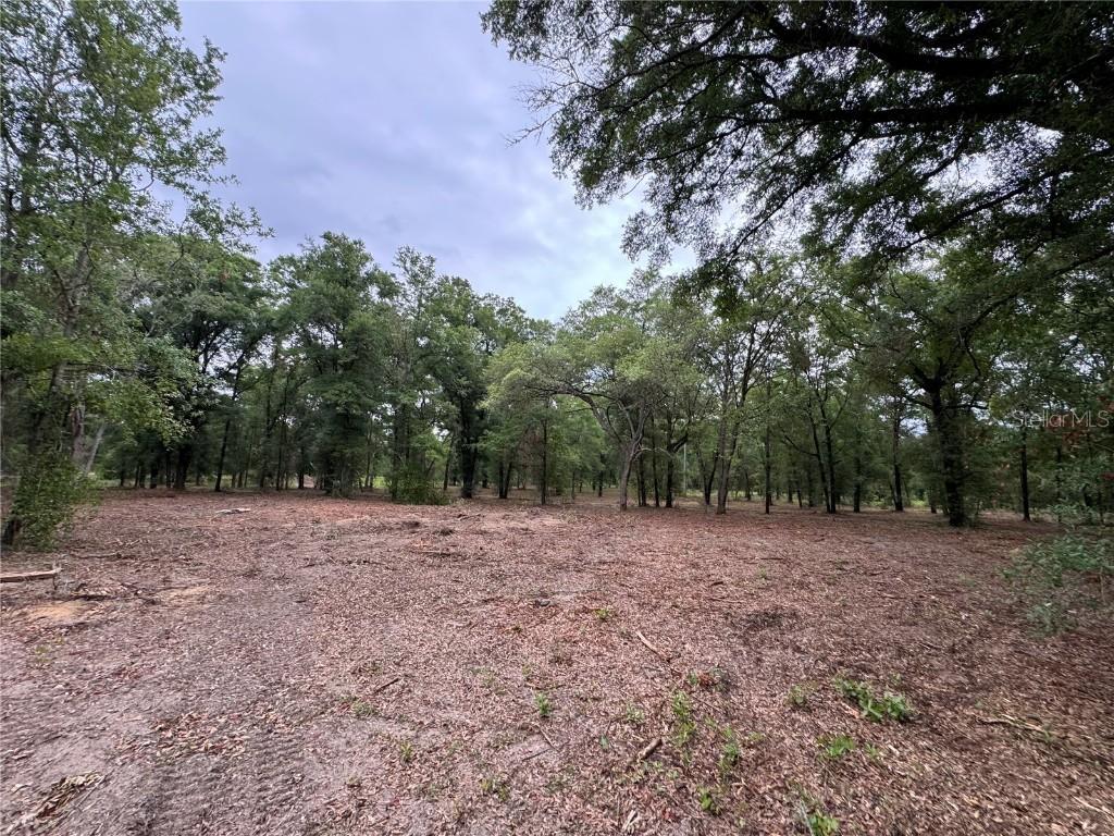 TBD NE 126th St. #A, Bronson, FL 32621