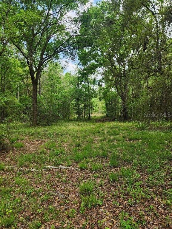4611 NW 244th Ave., Alachua, FL 32615