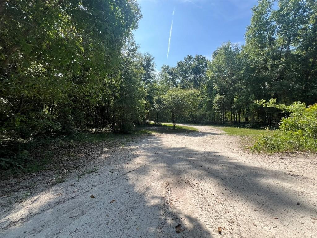 Lot 1 SW Old Wire Rd., Fort White, FL 32038