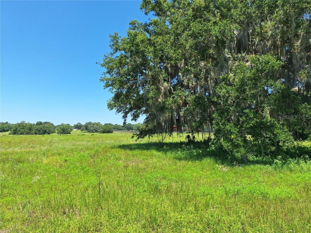 Lot 12 NW 154th Ave. Rd. #12, Morriston, FL 32668