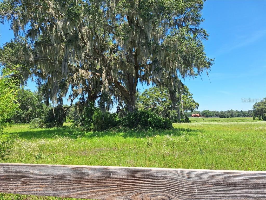 NW 154th Ave. Rd. #13, Morriston, FL 32668