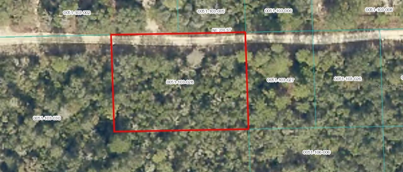 TBD NE 236 St., Fort Mc Coy, FL 32134