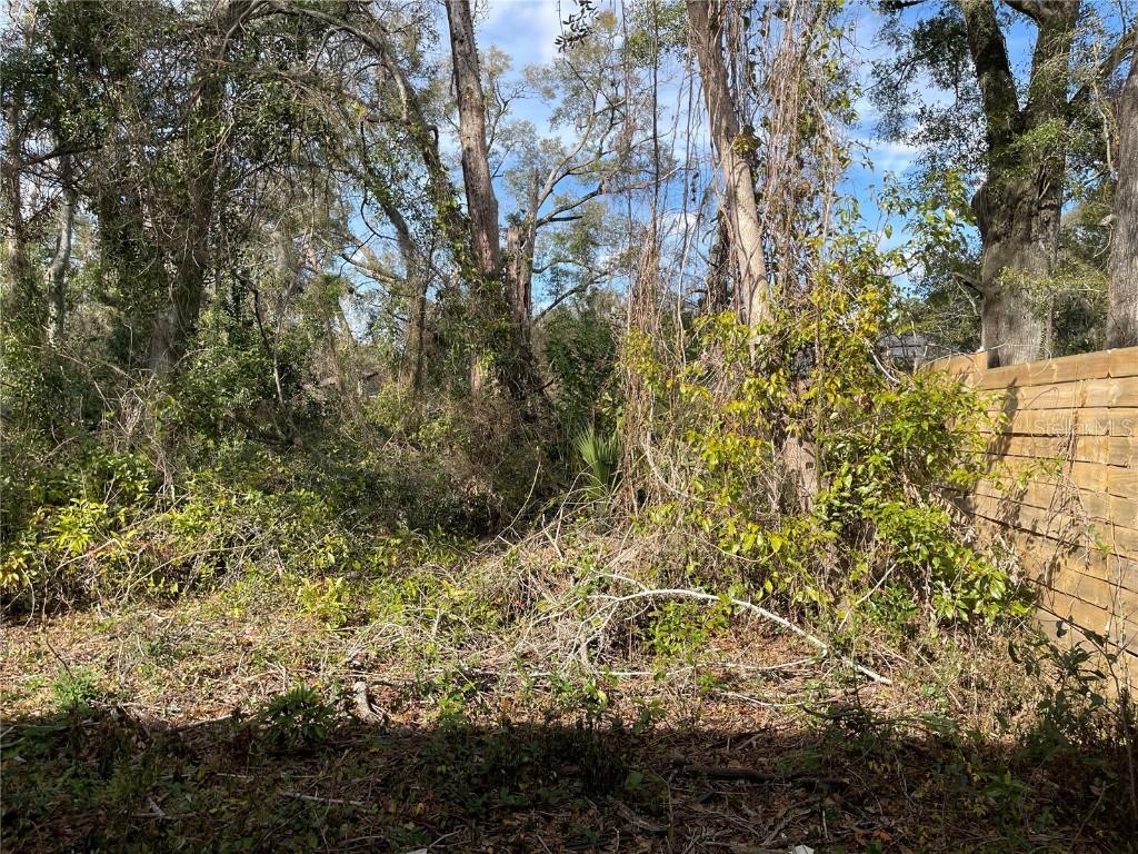 lot 1 NW 135th Ter., Alachua, FL 32615