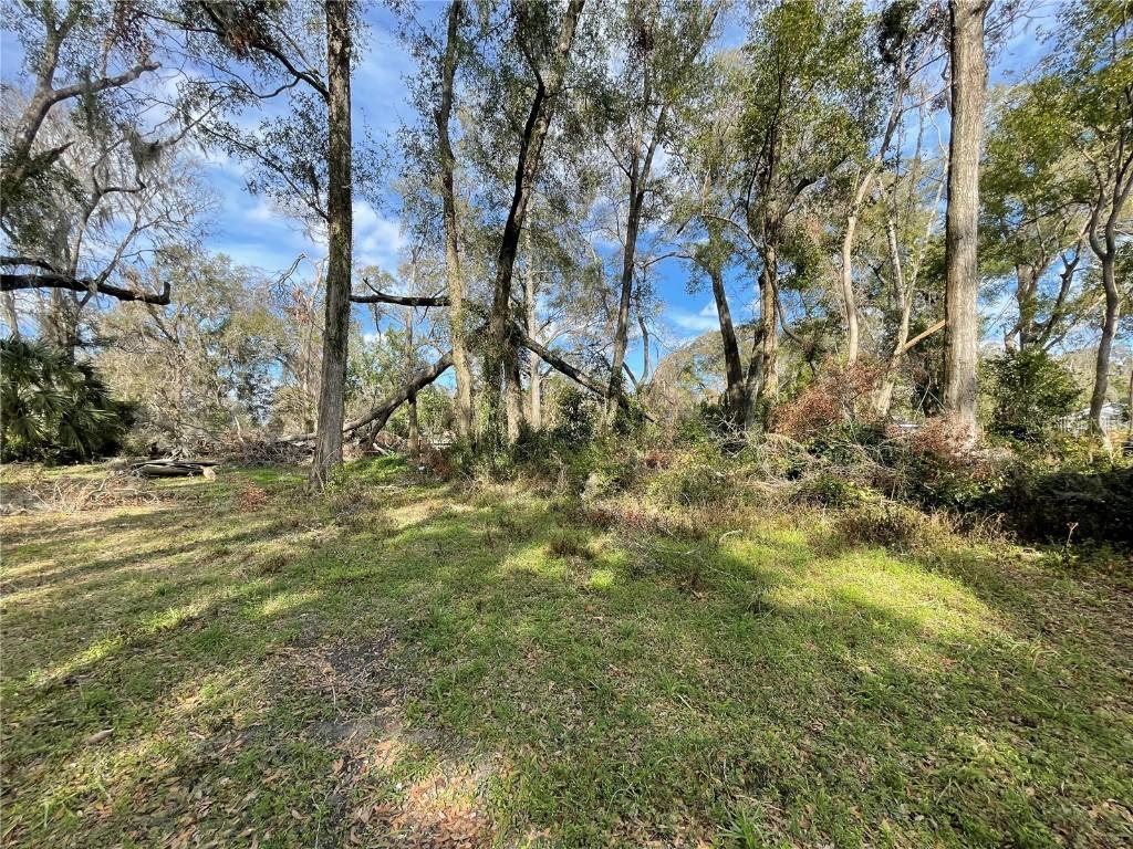 lot 2 NW 135th Ter., Alachua, FL 32615