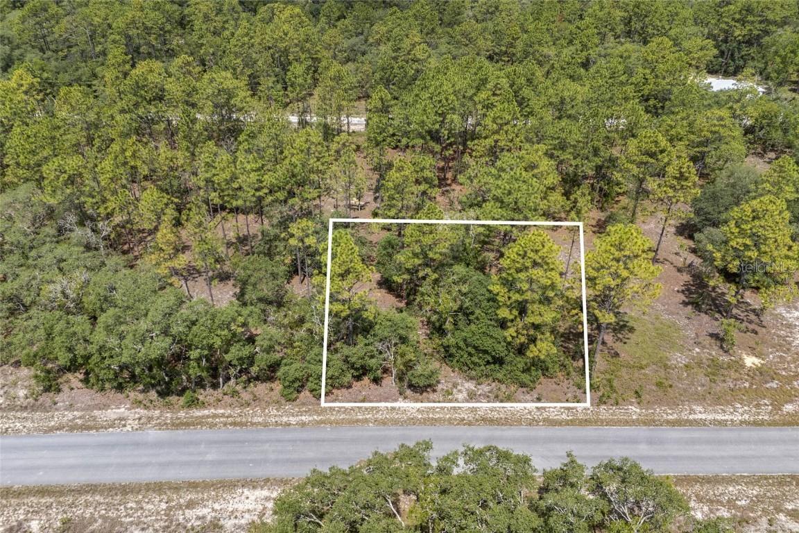 SW 134 Ter., Dunnellon, FL 34431