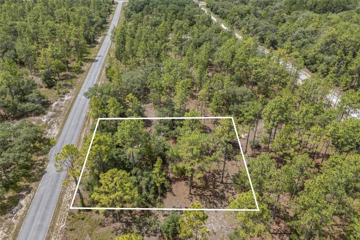 SW 134 Ter., Dunnellon, FL 34431