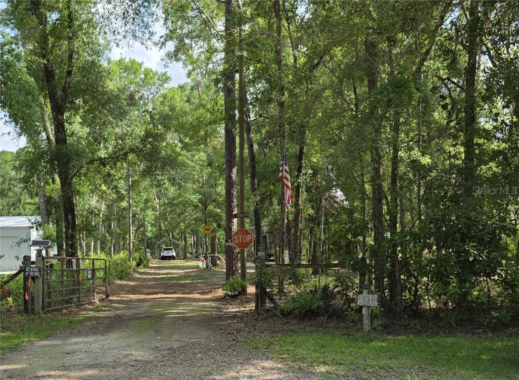 TBD 284th St., Branford, FL 32008