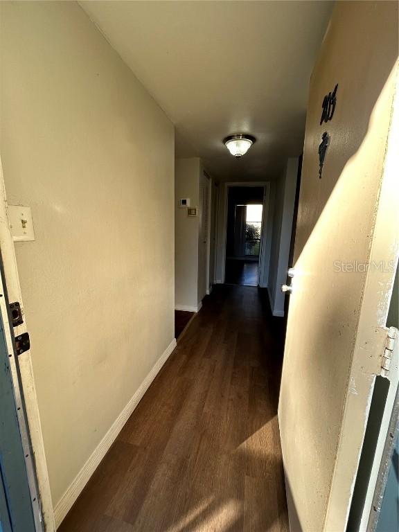 2811 SW Archer Rd. #X203, Gainesville, FL 32608